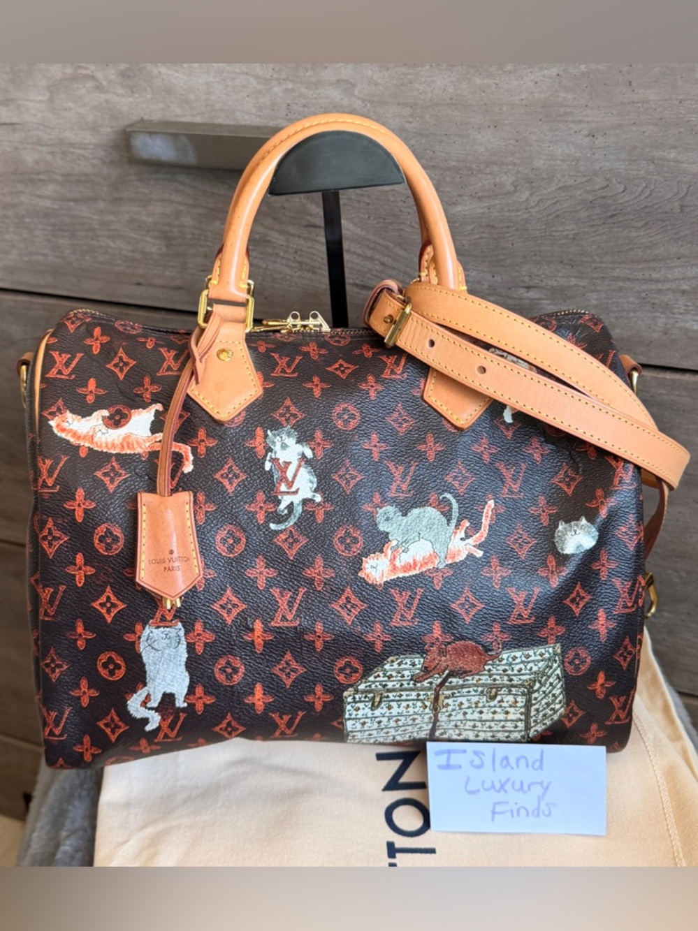 🐈Limited Edition Louis Vuitton Grace Coddington Catogram Speedy 30 Bando🐈